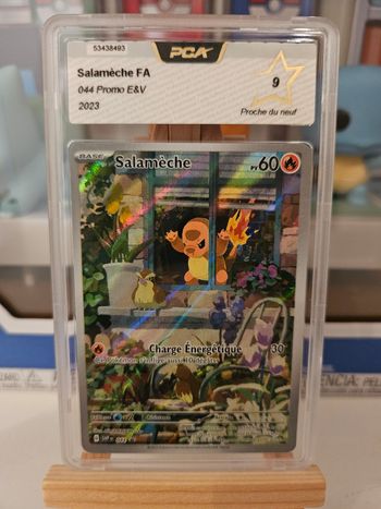 Salamèche svp044 PCA 9