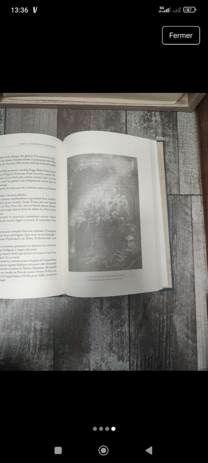 Loki et la prophétie du Ragnarok - photo numéro 4