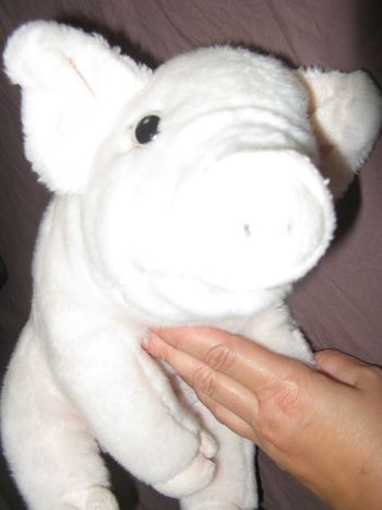 cochon 30 cm peliche