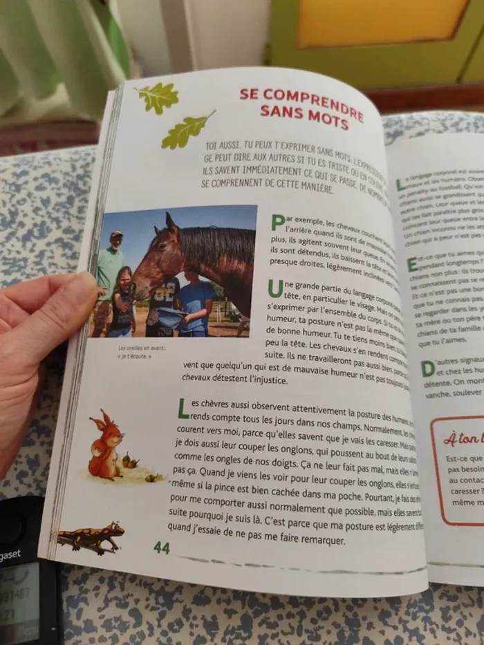 Écoute les animaux parler, à la découverte des habitants des bois et des prés - photo numéro 3