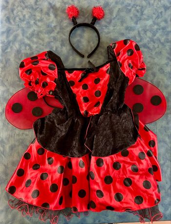 Ensemble déguisement fille Coccinelle rouge et noir