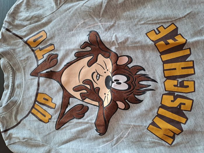 Tee shirt Taz 4A - photo numéro 3