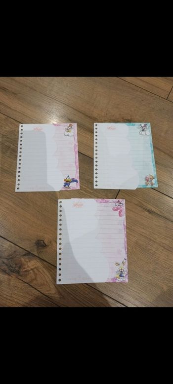 Lot de 3 feuilles Diddl is back carnet spirale