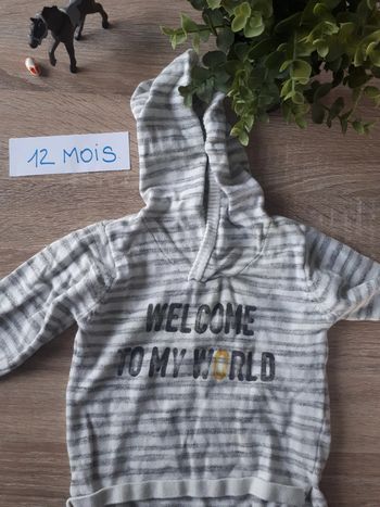 Pull 12 mois