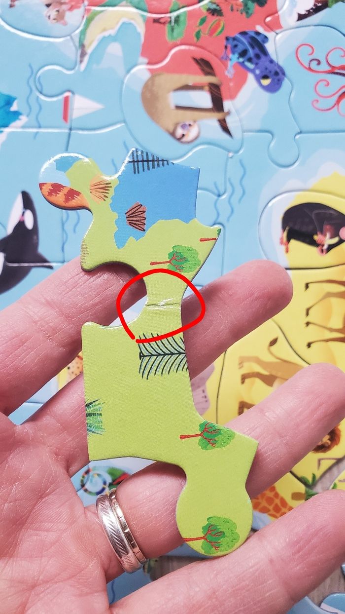 A la découverte du monde - photo numéro 6