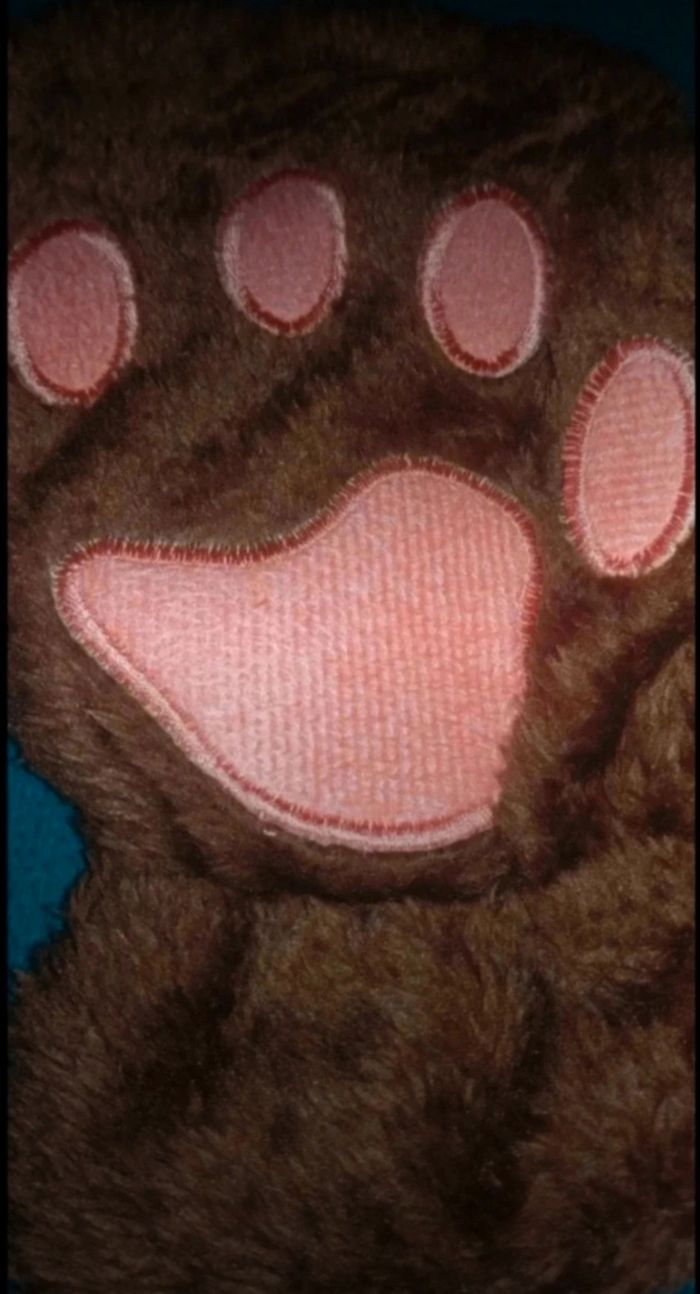 Gants mitaines pattes de chat chien ours - photo numéro 4