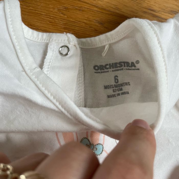 Ensemble Orchestra - photo numéro 2