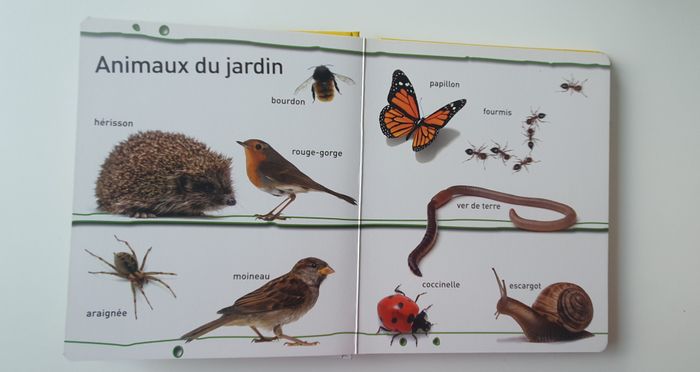 Livre Regarde et apprends "Les animaux" - photo numéro 3