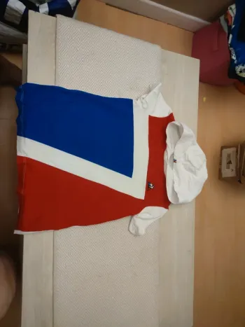 Tee shirt a capuche le coq sportif 12 ans