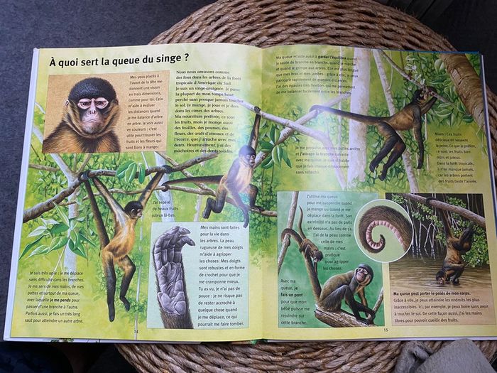 Mes questions aux animaux - photo numéro 3