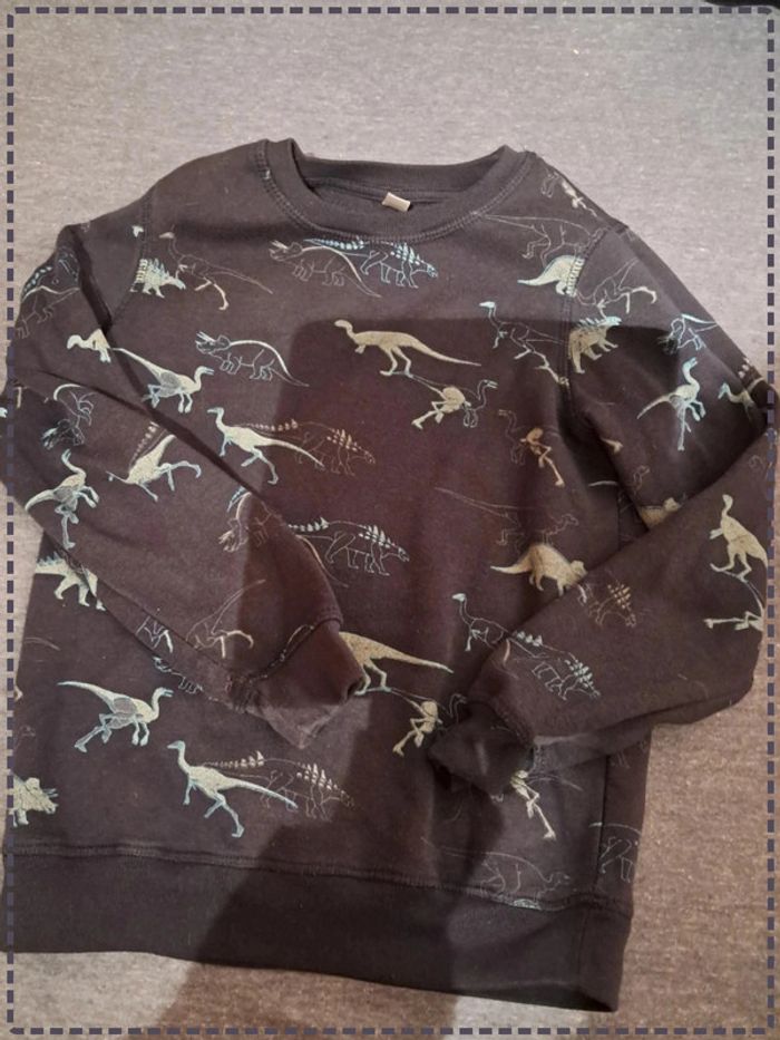 Lot 2 pulls dinosaures 9-10ans TEX - photo numéro 2