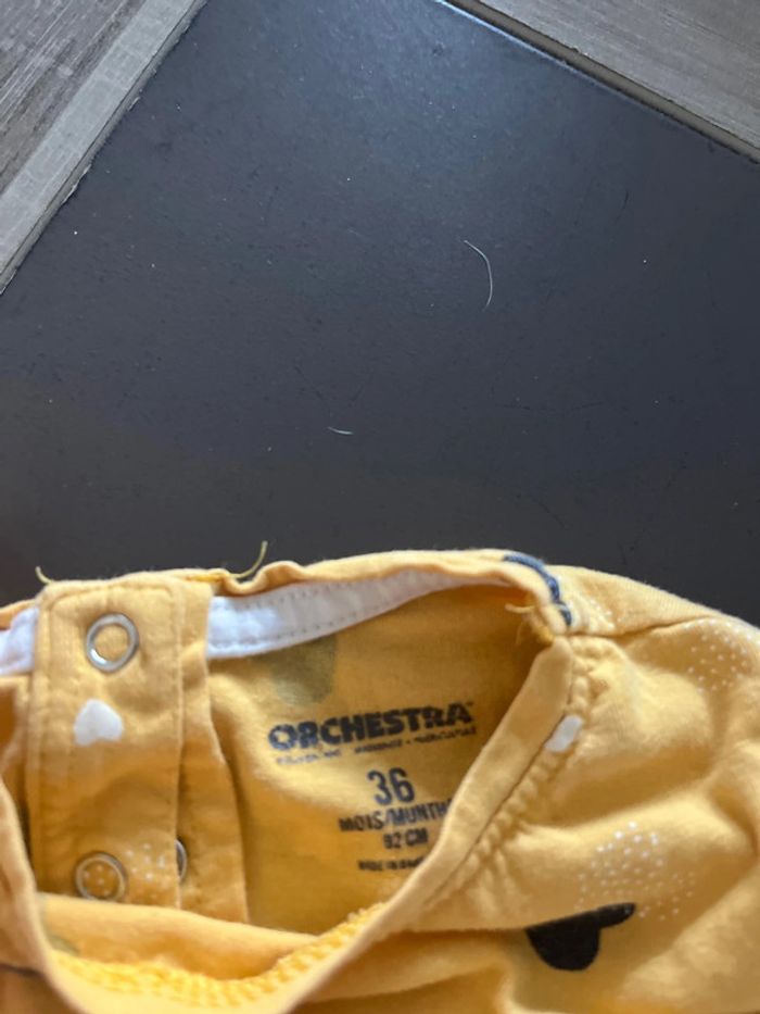 Orchestra - photo numéro 3