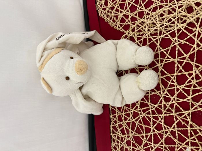 doudou ours baby nat publicitaire 2021 pri et tours - photo numéro 2