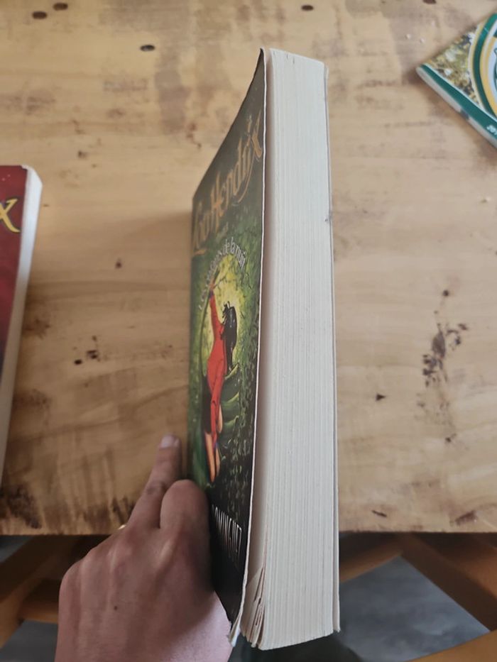 Lot de livres - photo numéro 4