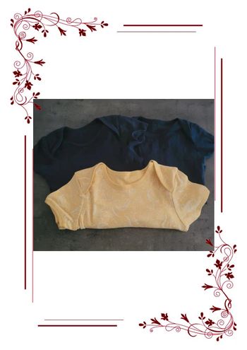 Lot 3 body manche courte