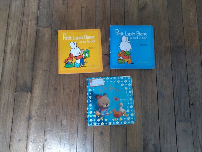 Lot livres "petit lapin blanc" et "bébé koala"