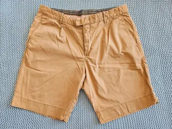 Short camel