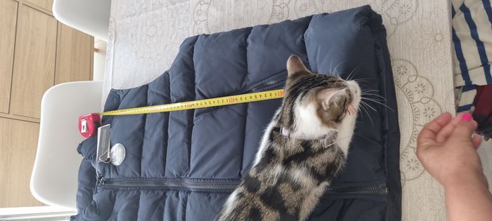 doudoune sans manche - photo numéro 5