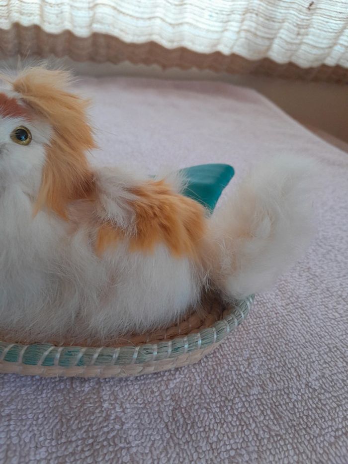 Chat 🐱 - photo numéro 4