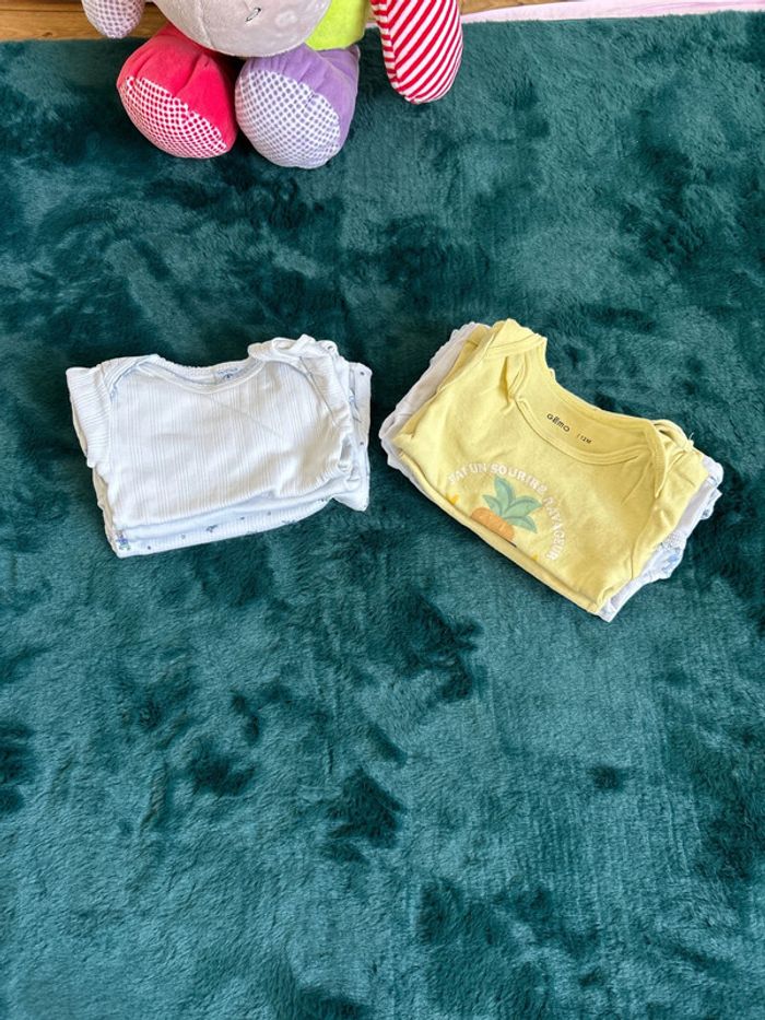 Bodies