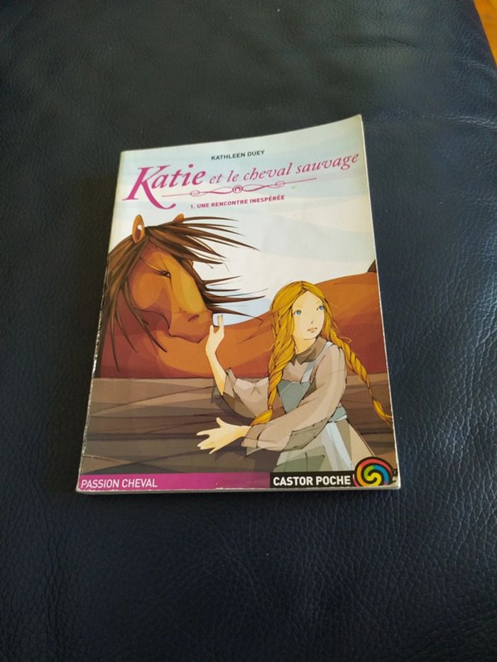 Katie et le cheval sauvage de Kathleen Duey