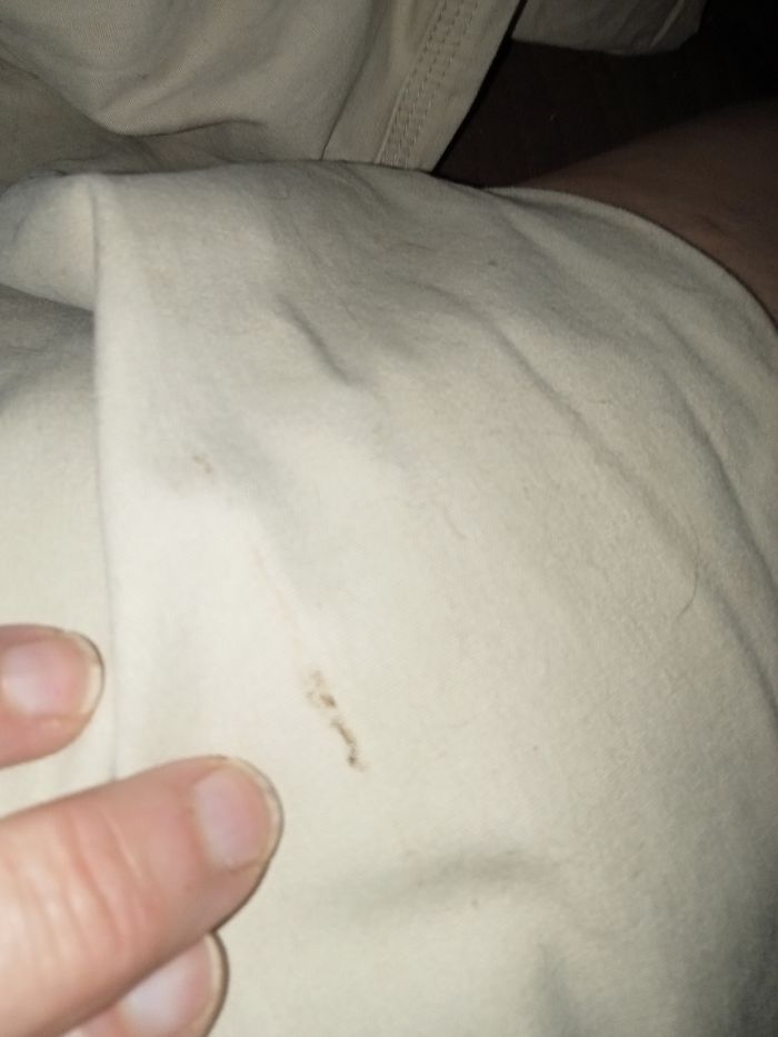 Pantalon (-4) - photo numéro 6