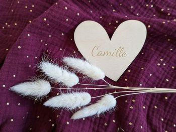 Carte de bienvenue Camille