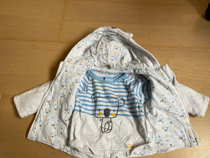 Ensemble koala - photo numéro 6