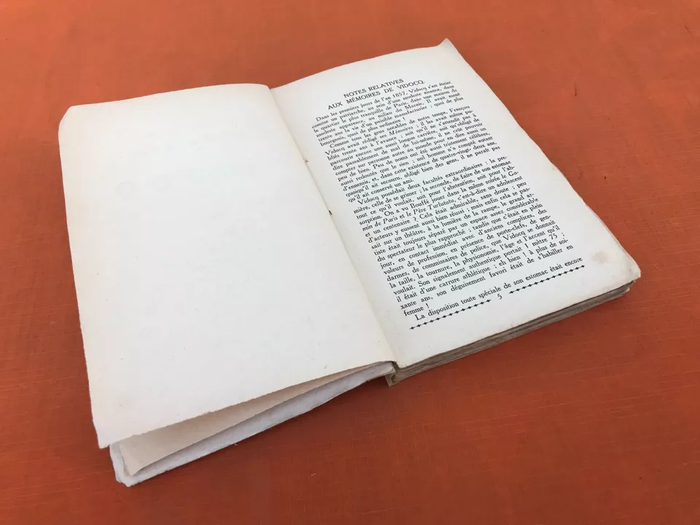 Mémoires de Vidocq Forçat et chef de la police Chef de la police de sûreté jusqu' en 1827 - photo numéro 8