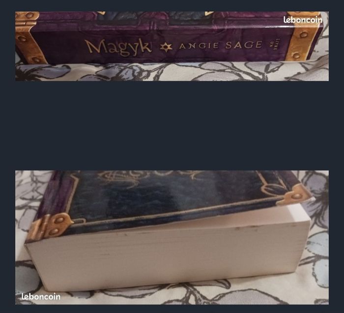 Magyk de Angie Sage - photo numéro 3