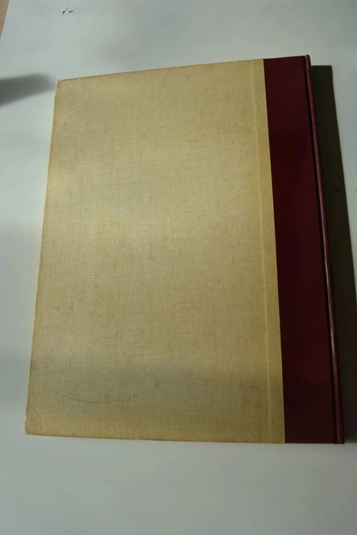 Turner - photo numéro 9