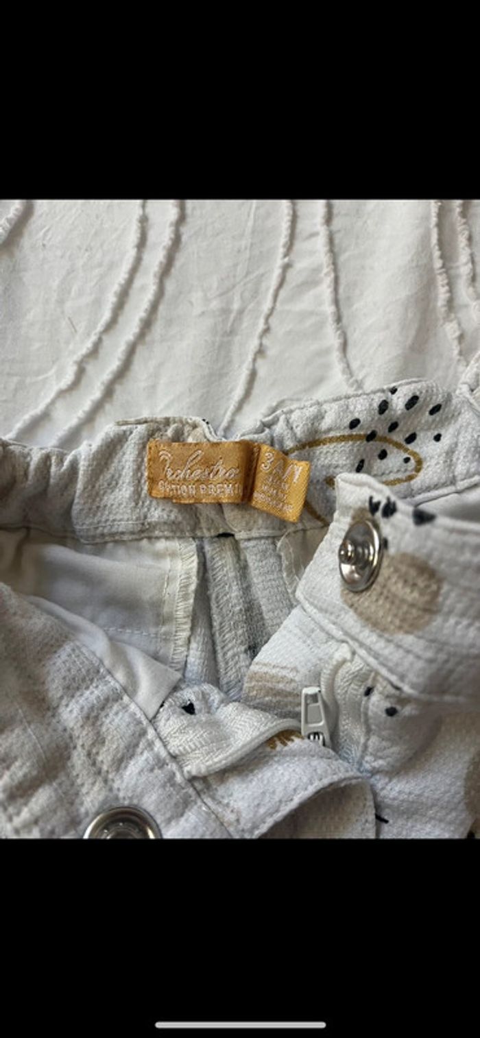 Short - photo numéro 3