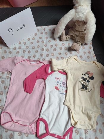 Lot de 3 bodies 9 mois