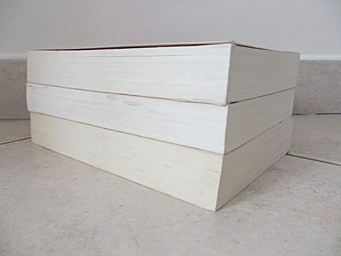 Lot de 3 livres enfant Le Journal d’une Grosse Nouille – Tomes 1, 2 et 4 - photo numéro 4