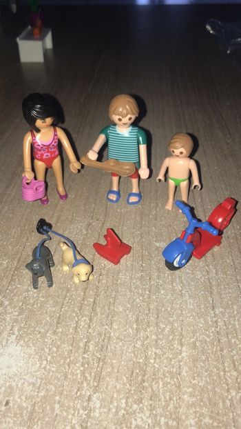 Famille playmobil