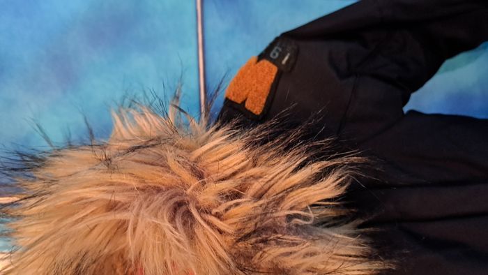 Parka - photo numéro 5