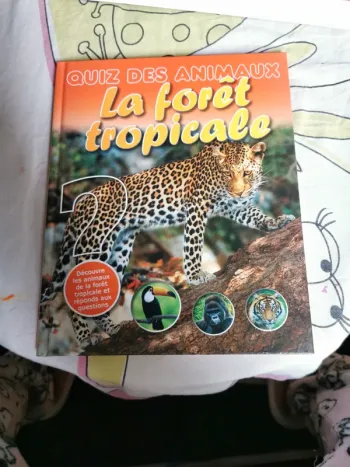 Livre quiz des animaux la forêt tropicale