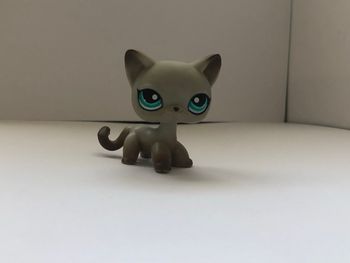 Pet shop : chat égyptien #391
