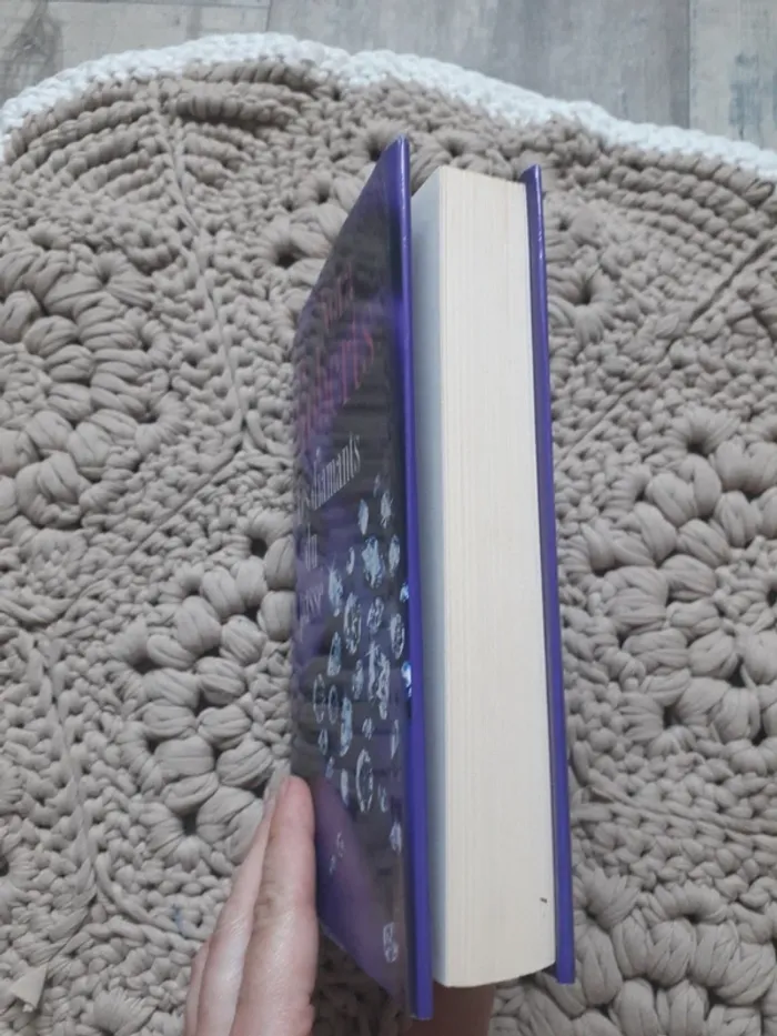 livre roman - photo numéro 8