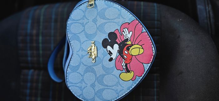 Sac coach - photo numéro 2