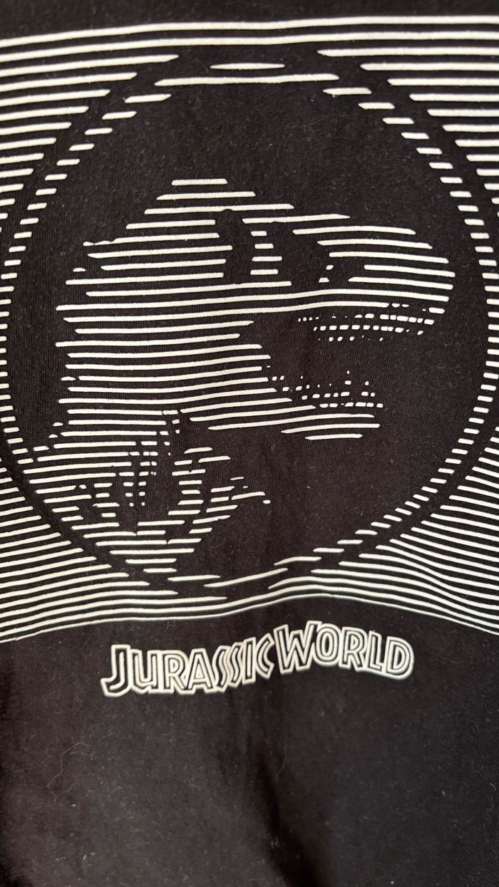 Ensemble - photo numéro 3