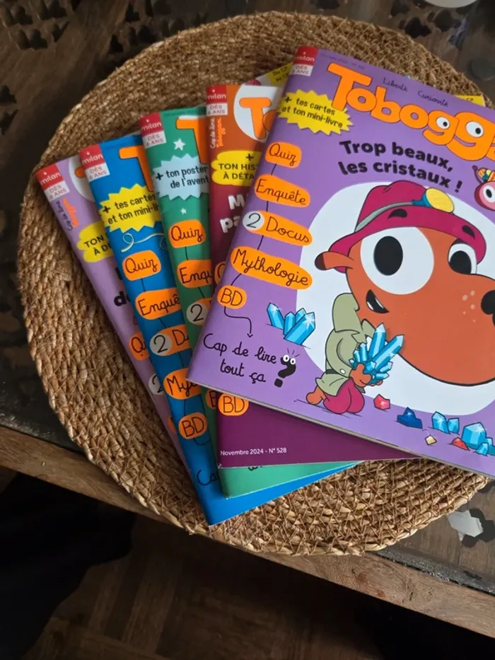 Lot de 5 Tobbogans. Dès 6 ans - photo numéro 3