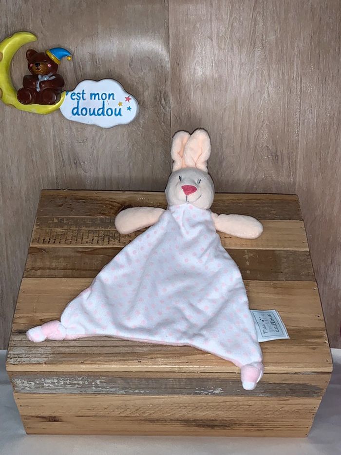 MPC29 doudou lapin 🐰 mes petits cailloux