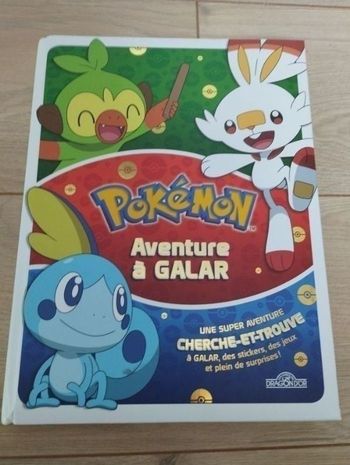 Livre cherche et trouve pokemon l'aventure à Galar