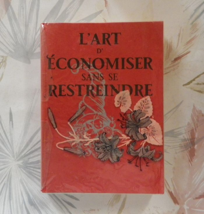 L'art d'économiser sans se restreindre enseigné en 16 leçons
