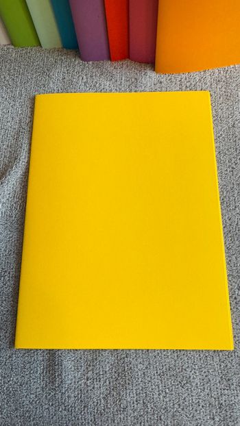 Ensemble de 5 chemises rigides jaune