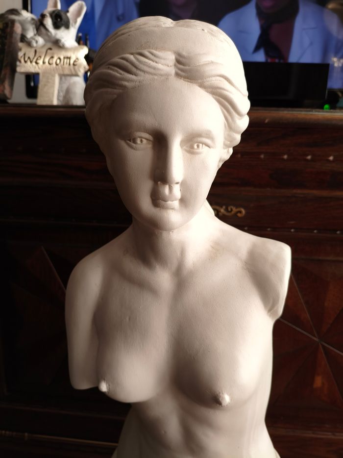 Sculpture représentant Vénus de Milo - photo numéro 2