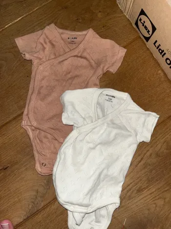 Bodies