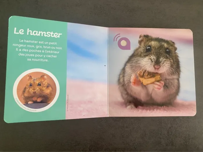 Livre sonore « Les animaux de compagnie » Auzou - photo numéro 7