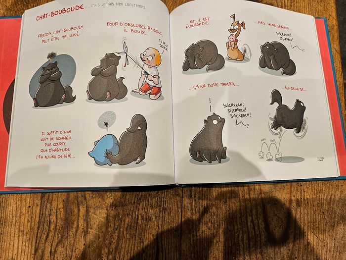 Chat bouboule tome 5 - photo numéro 3